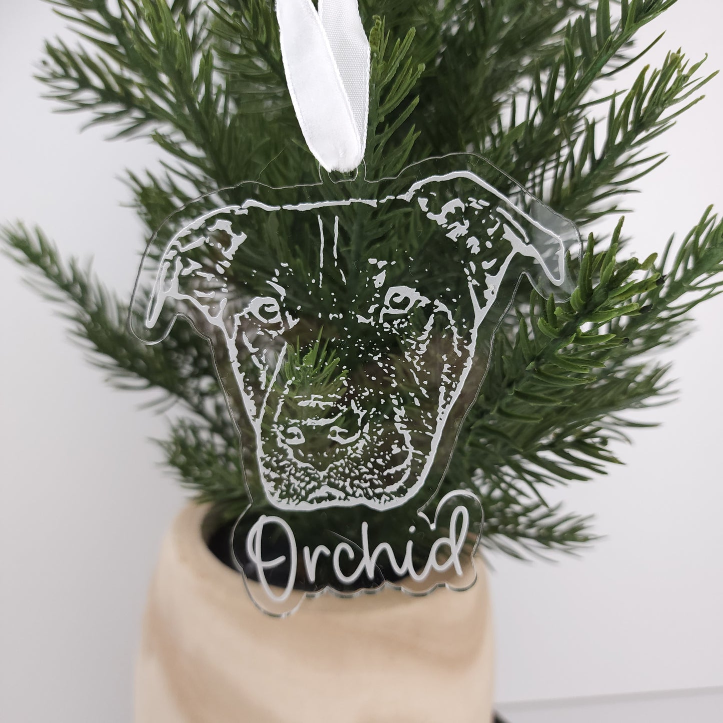 Pet Ornament